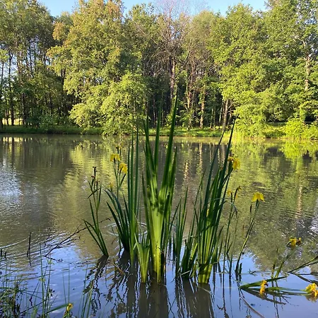 Domaine De Lithos Fossemagne